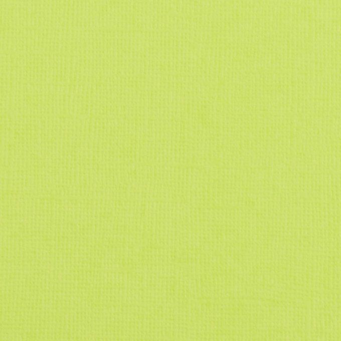 Cardstock Couleur : Pistache, 216g, lot de 20 feuilles - 30x30cm (texturé)