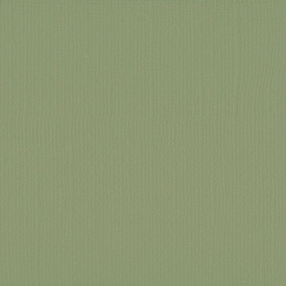 Papier Cartonné Florence Vert Acacia - 10 Feuilles A4 216g/m² - Surface Lisse Pour Créations, Scrapbooking