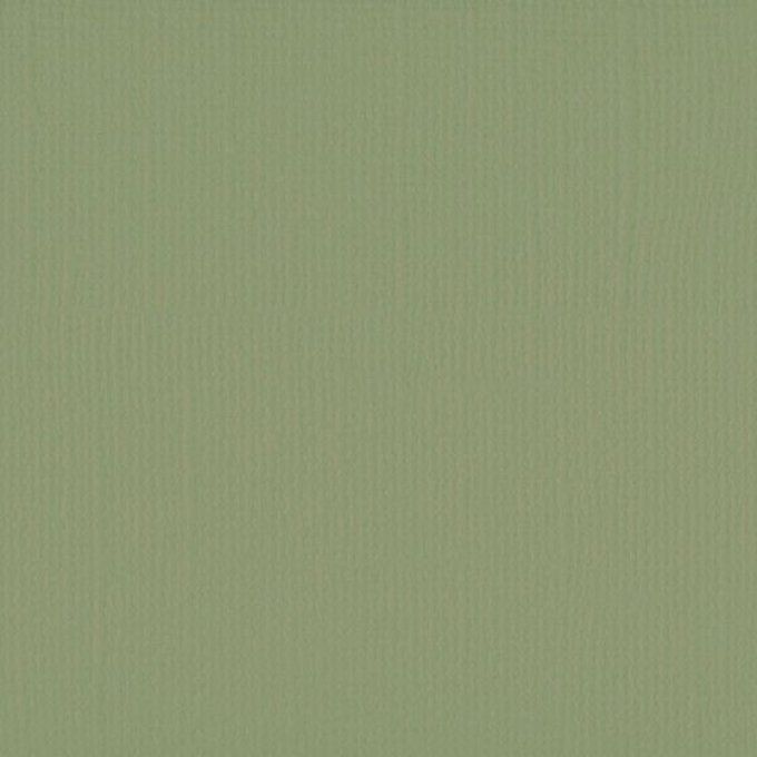 Cardstock Couleur : Acacia, 216g, lot de 10 feuilles - Format A4 (texture)