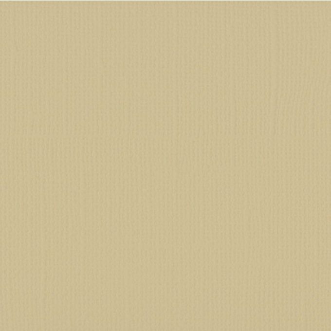 Cardstock Couleur : salamander, 216g, lot de 20 feuilles - 30x30cm (texture)