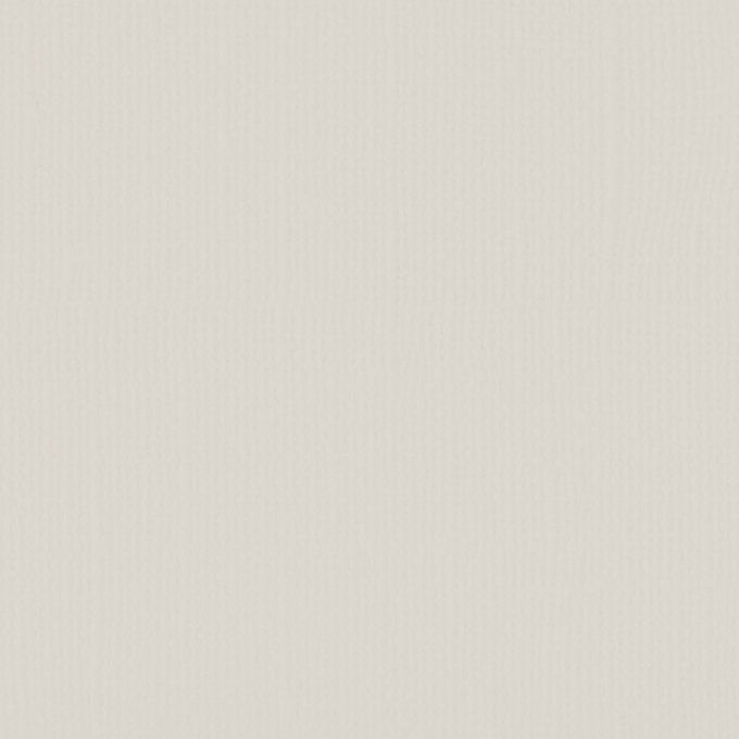 Cardstock Couleur : Cool Grey, 216g, lot de 20 feuilles - 30x30cm (lisse)