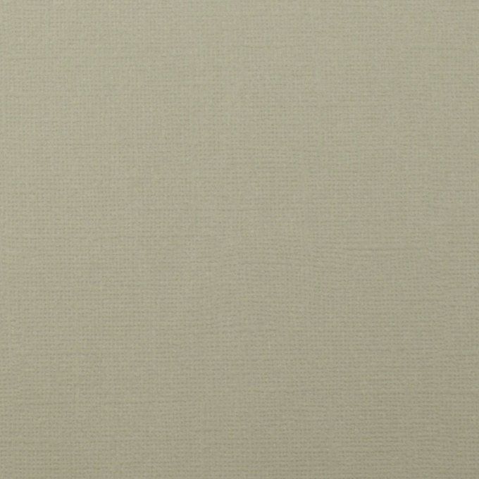 Cardstock Couleur : Mouse, 216g, lot de 20 feuilles - 30x30cm (texturé)