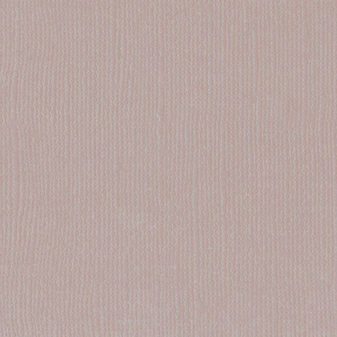 Cardstock Couleur : Rhino, 216g, lot de 20 feuilles - 30x30cm (texturé)