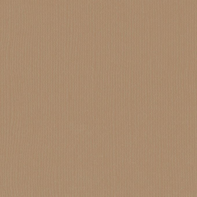 Cardstock Couleur : peanut, 216g, lot de 20 feuilles - 30x30cm (texturé)