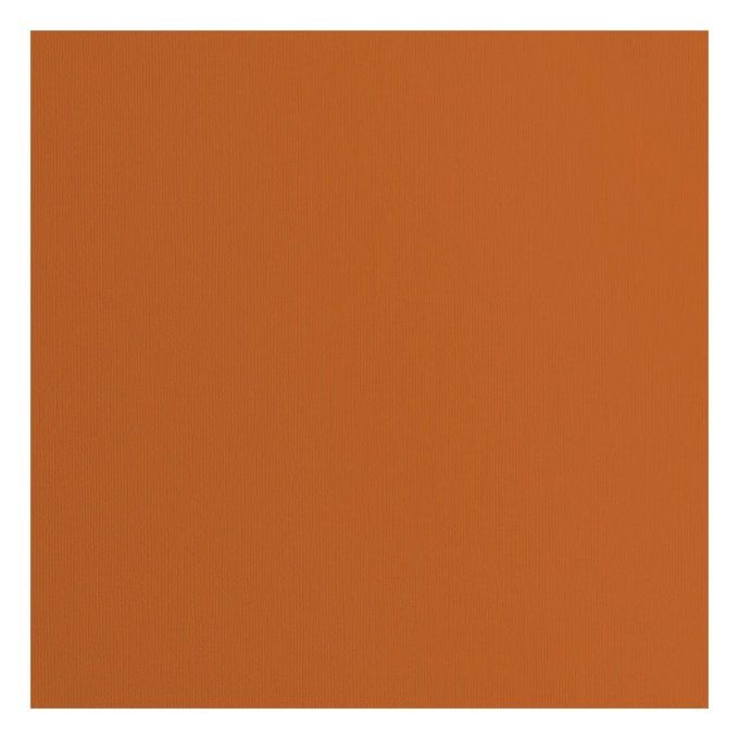 Cardstock Couleur : Fox, 216g, lot de 20 feuilles - 30x30cm (texturé)