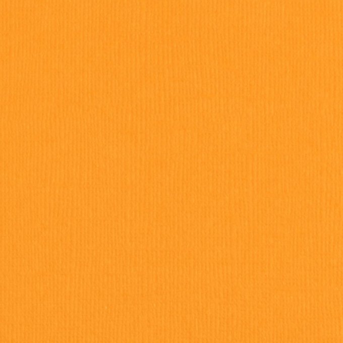 Cardstock Couleur : Mango, 216g, lot de 10 feuilles - Format A4 (texturé)