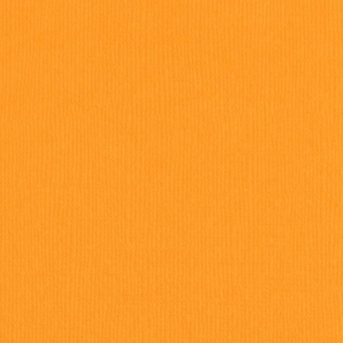 Cardstock Couleur : Mango, 216g, lot de 10 feuilles - Format A4 (texturé)