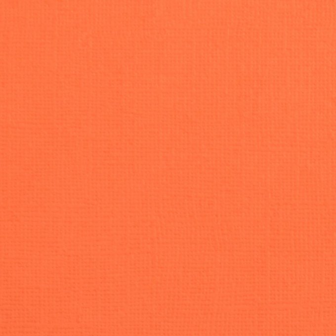 Cardstock Couleur : Melon, 216g, lot de 10 feuilles - Format A4 (texturé)