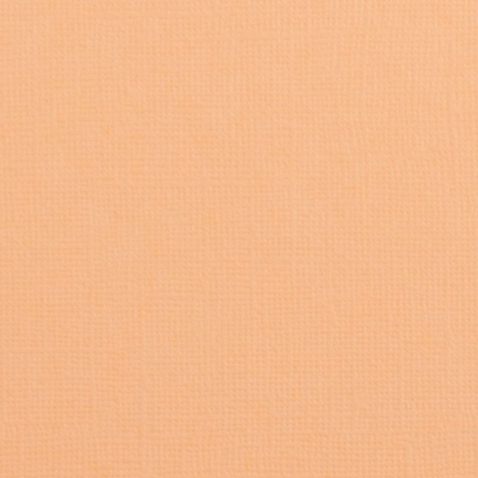 Cardstock Couleur : Peach, 216g, lot de 20 feuilles - 30x30cm (texturé)