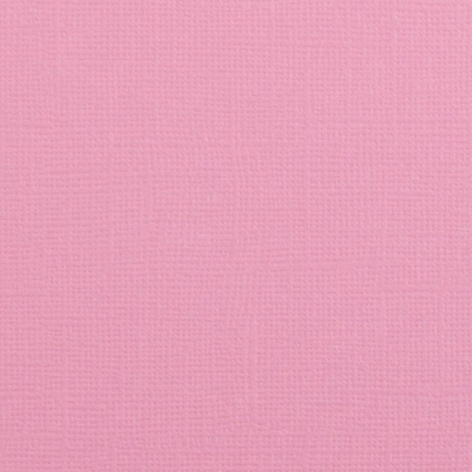 Cardstock Couleur : pink, 216g, lot de 20 feuilles - 30x30cm (texturé)