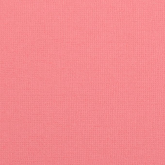 Cardstock Couleur : magnolia, 216g, lot de 20 feuilles - 30x30cm (texturé)