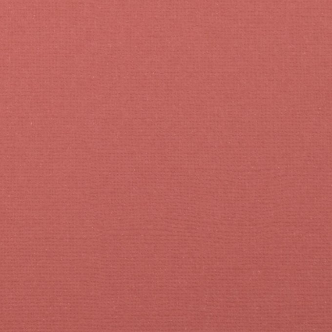 Cardstock Couleur : rhubarb, 216g, lot de 20 feuilles - 30x30cm (texturé)