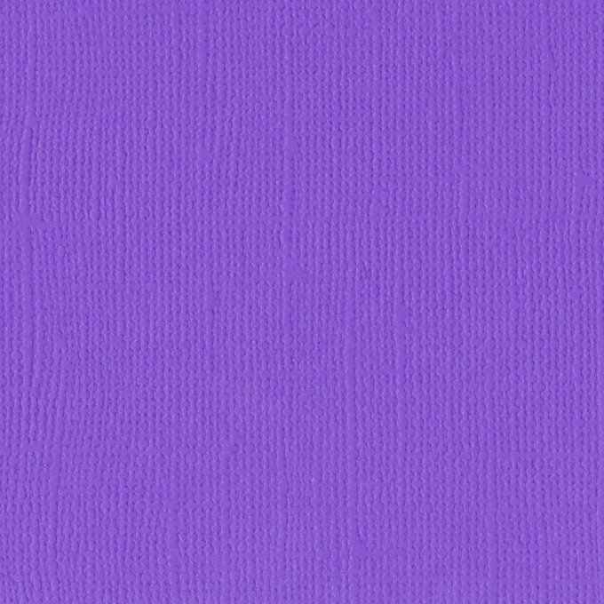 Cardstock Couleur : violet, 216g, lot de 20 feuilles - 30x30cm (texturé)