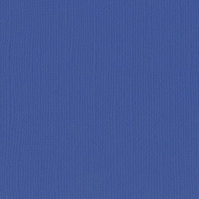 Cardstock Couleur : Ink, 216g, lot de 10 feuilles - Format A4 (texturé)