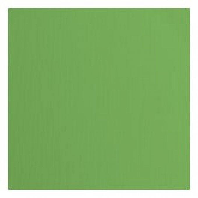 Cardstock Couleur : Moss, 216g, lot de 20 feuilles - 30x30cm (texturé)