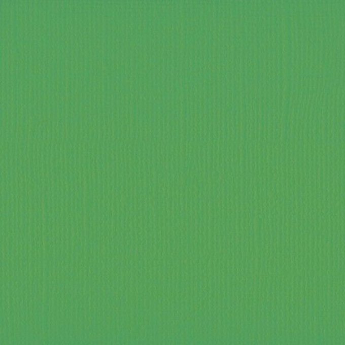 Cardstock Couleur : Holly, 216g, lot de 10 feuilles - Format A4 (texturé)