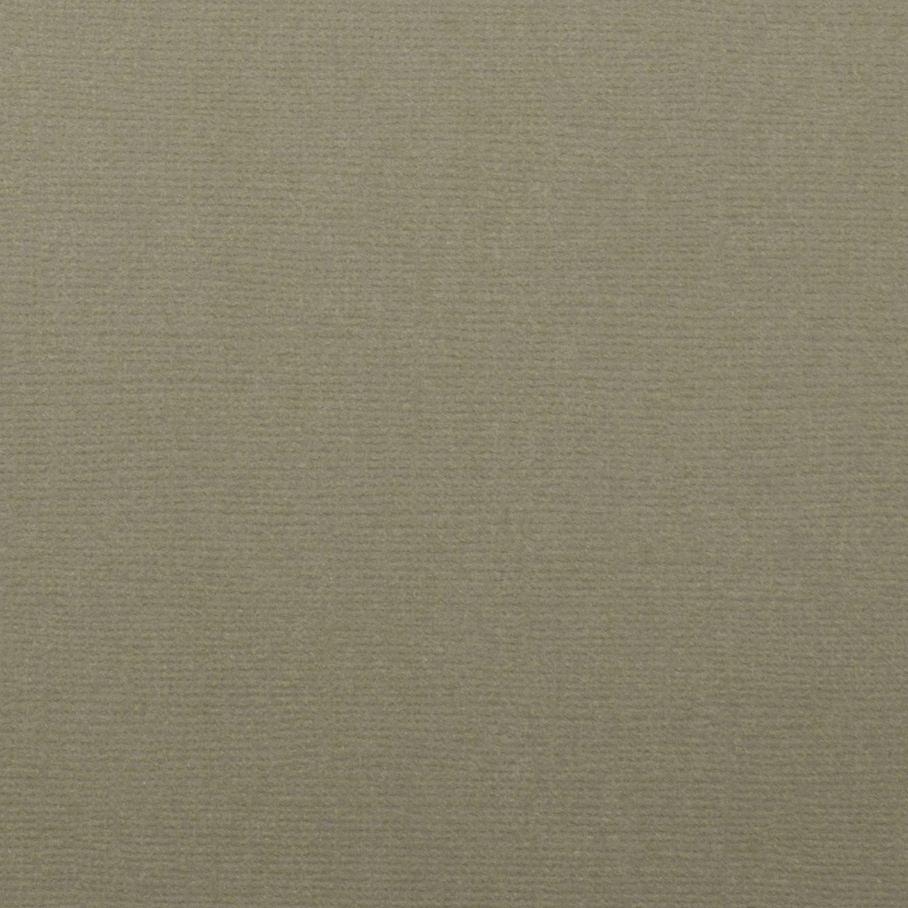 Cardstock Couleur : stone, 216g, lot de 20 feuilles - 30x30cm (texturé)