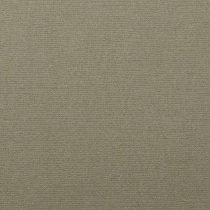 Cardstock Couleur : stone, 216g, lot de 20 feuilles - 30x30cm (texturé)