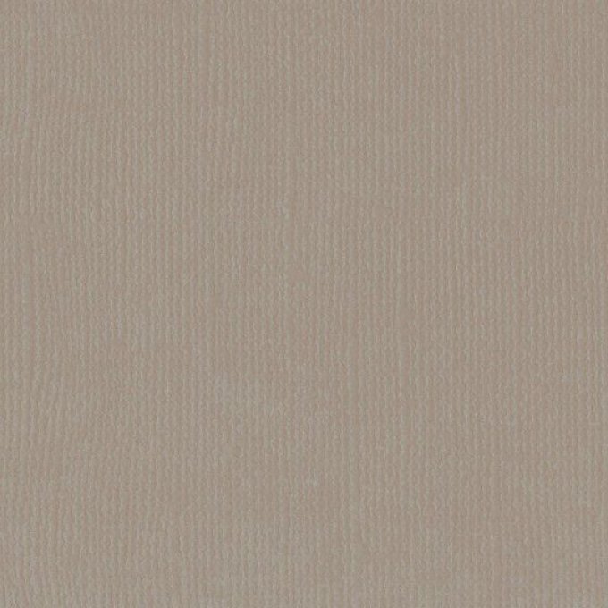 Cardstock Couleur : Tin, 216g, lot de 10 feuilles - Format A4 (texturé)