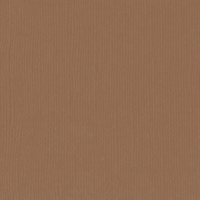 Cardstock Couleur : Lion, 216g, lot de 20 feuilles - 30x30cm (texturé)