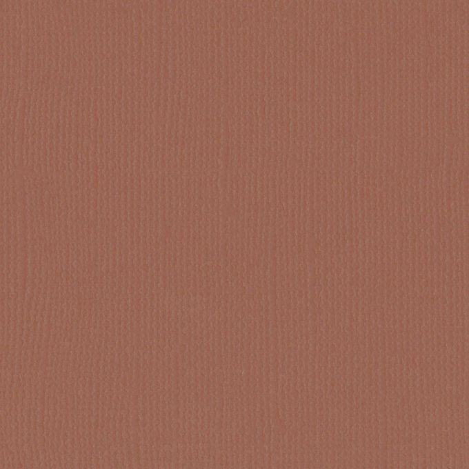 Cardstock Couleur : umber, 216g, lot de 20 feuilles - 30x30cm (texture)