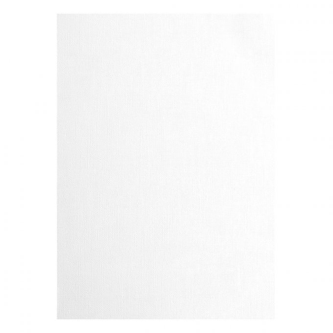 Cardstock Couleur : blanc, 216g, lot de 10 feuilles - Format A4 (texturé)