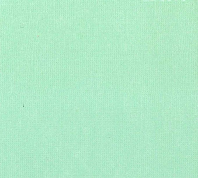 Cardstock, couleur Vert pistache - 30x30cm,  texturé, feuille à l'unité, 216g