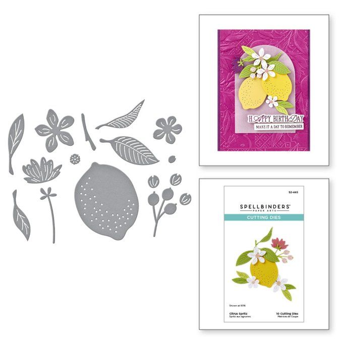 10 Dies/matrices de découpe, Spellbinders - Citrus spritz