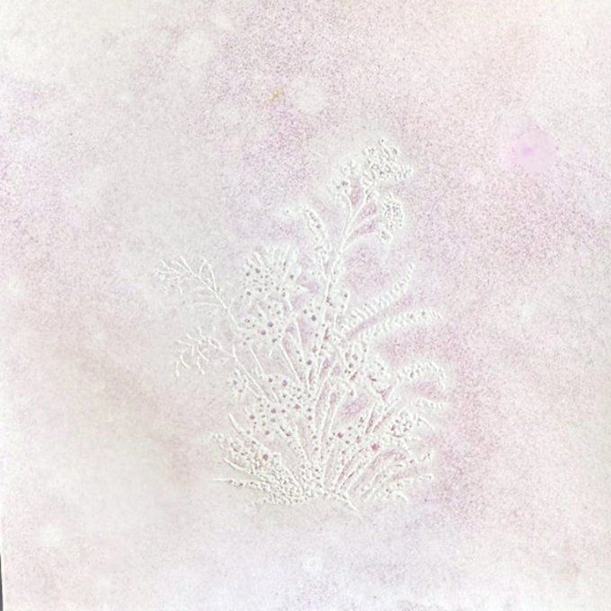 Spray Lindy's - Glitz Spritz  - Blushing banshee