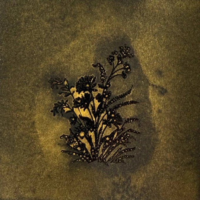 Spray Lindy's - Glitz Spritz  - Dragon's delight