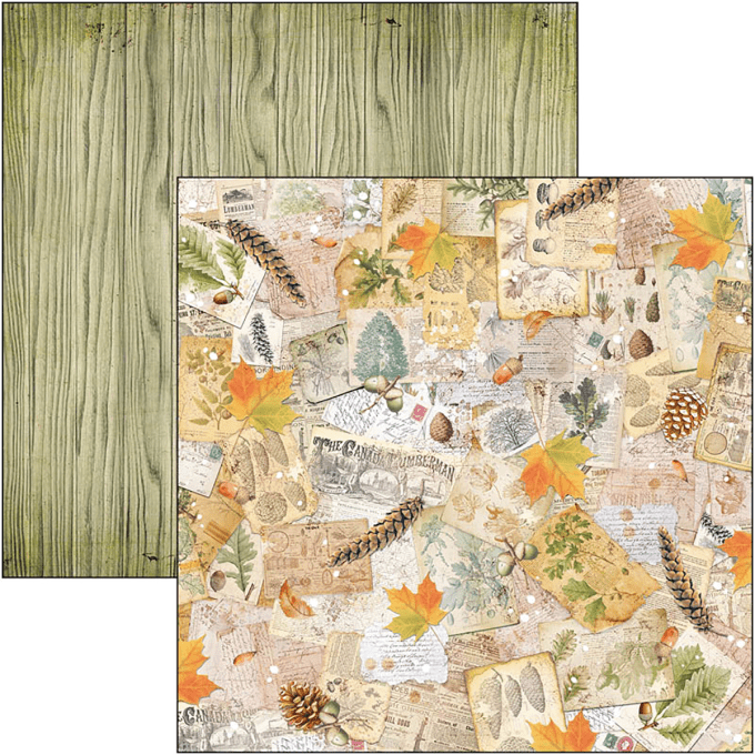 Ciao Bella, collection Into the wild,  30x30cm - 12 feuilles - 190gsm