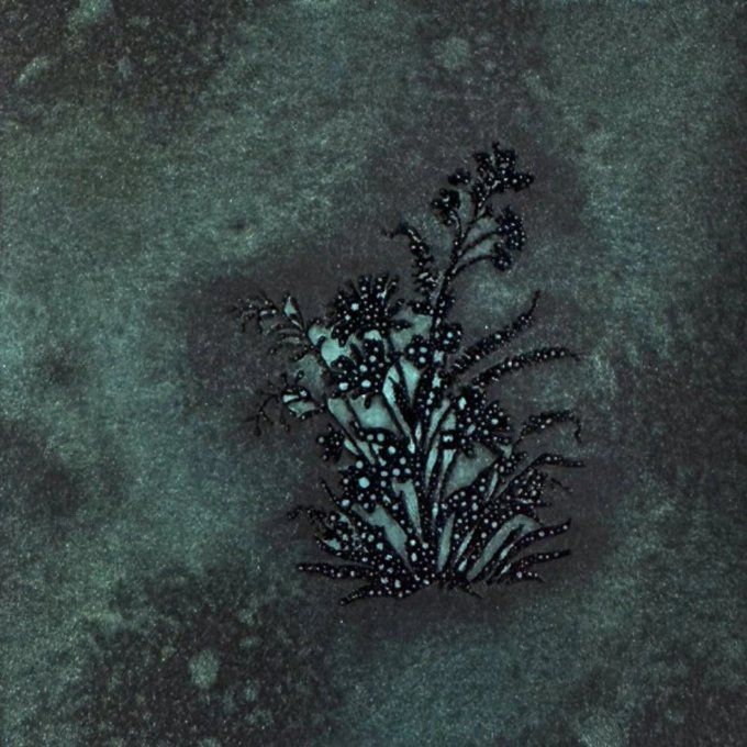 Spray Lindy's - Glitz Spritz  - Shimmering siren