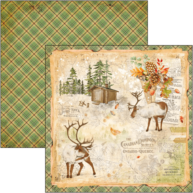 Ciao Bella, collection Into the wild 20x20cm - 12 feuilles - 190gsm
