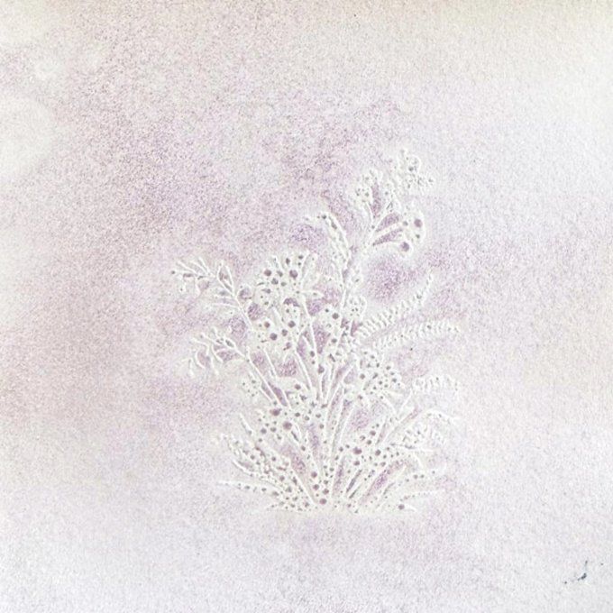 Spray Lindy's - Glitz Spritz  - Lycan Lilac