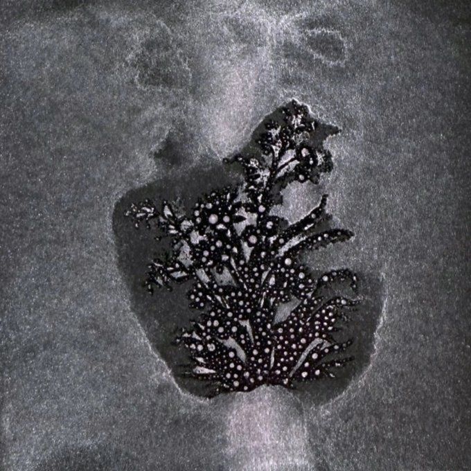 Spray Lindy's - Glitz Spritz  - Lycan Lilac