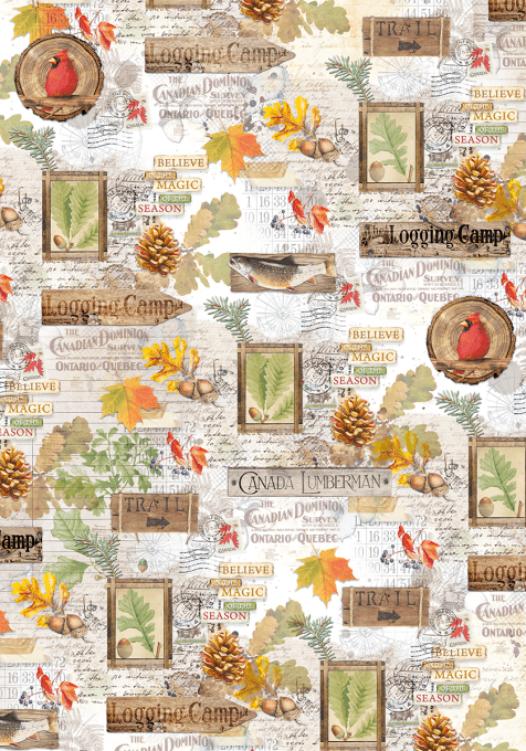 Ciao Bella, Papier vellum - collection Into the wild - Patterns,  Format A4 - 6 feuilles, 92g 