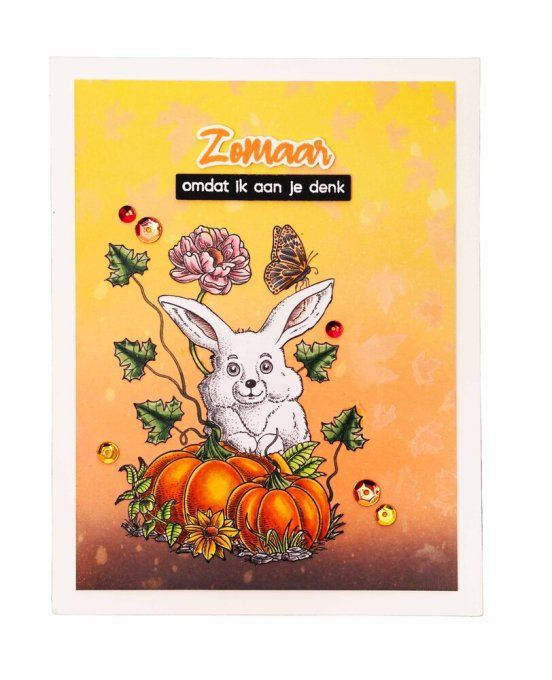 Tampon clear, Studio Light, Cute rabbit - dimension : 7x9cm environ 