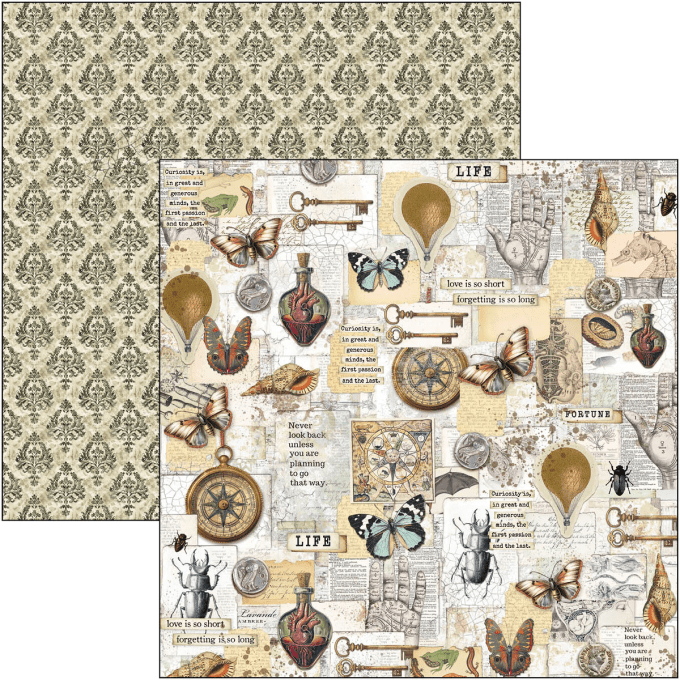 Ciao Bella, collection Cabinet of curiosities - 30x30cm - 12 feuilles - 190gsm 