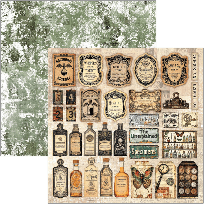 Ciao Bella, collection Cabinet of curiosities - 30x30cm - 12 feuilles - 190gsm 
