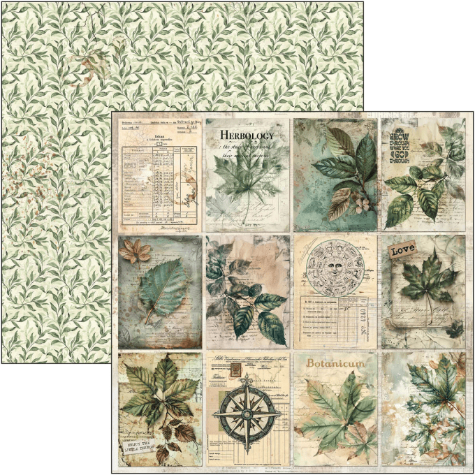 Ciao Bella, collection Cabinet of curiosities - 30x30cm - 12 feuilles - 190gsm 