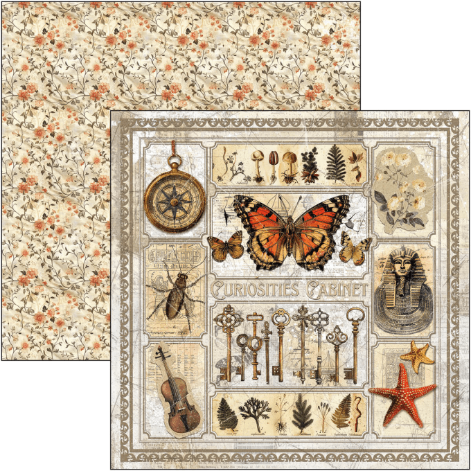 Ciao Bella, collection Cabinet of curiosities - 30x30cm - 12 feuilles - 190gsm 