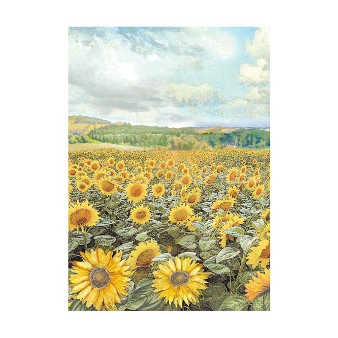 8 Feuilles de riz, Stampéria, Format A6 (10.5x14.8cm) - Sunflower Art