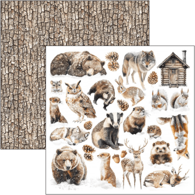 Ciao Bella, collection Forest Tales - 20x20cm - 12 feuilles - 190gsm