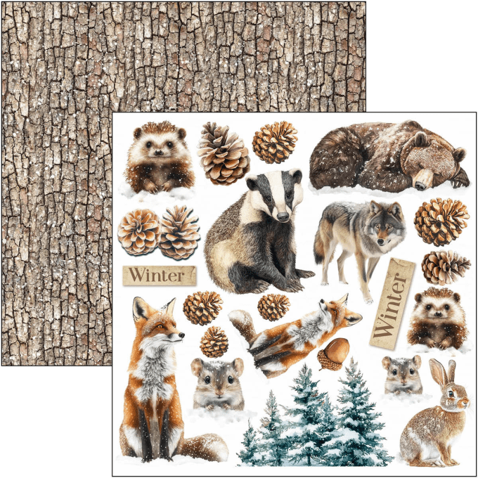 Ciao Bella, collection Forest Tales - 15x15cm - 24 feuilles - 190gsm