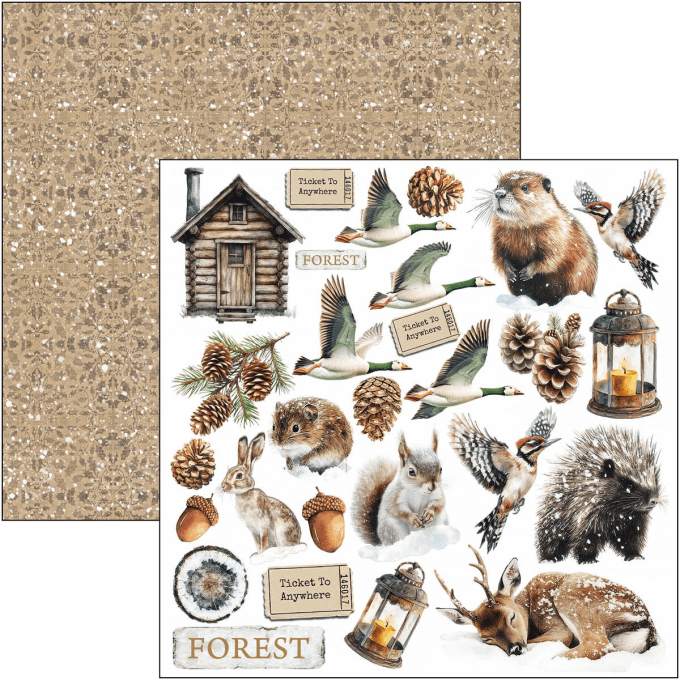Ciao Bella, collection Forest Tales - 15x15cm - 24 feuilles - 190gsm