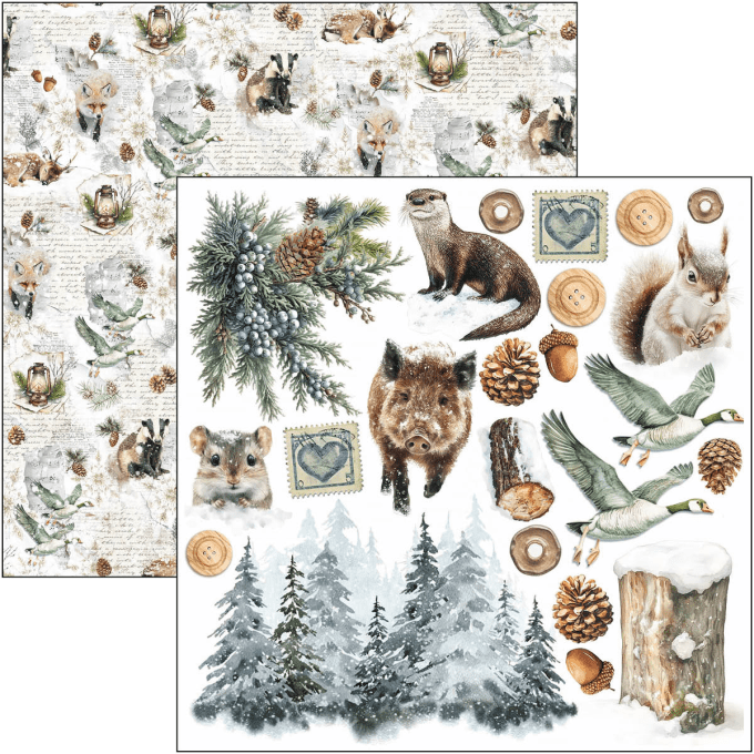 Ciao Bella, collection Forest Tales - 15x15cm - 24 feuilles - 190gsm