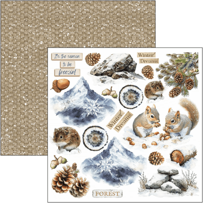 Ciao Bella, collection Forest Tales - 15x15cm - 24 feuilles - 190gsm