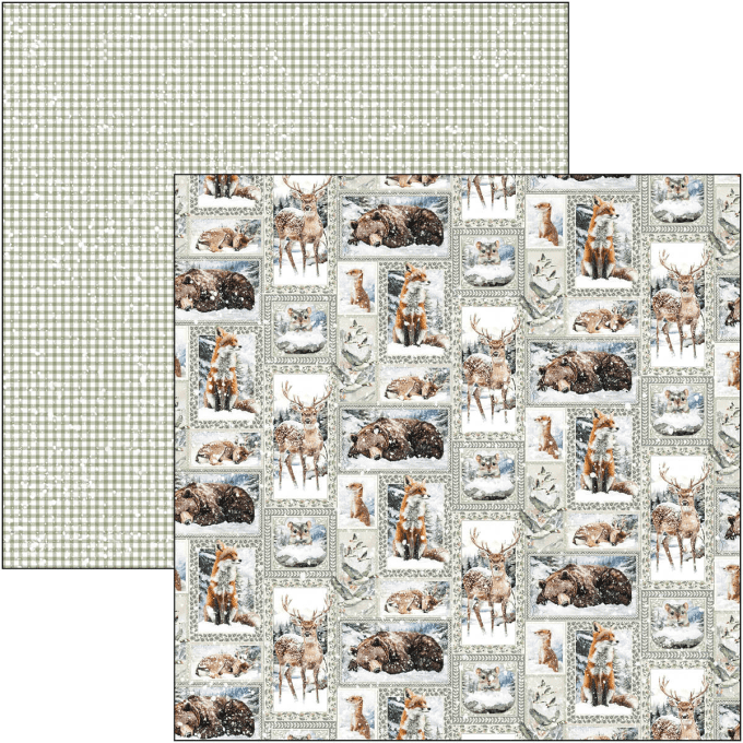 Ciao Bella, collection Forest Tales - Patterns - 30x30cm - 8 feuilles - 190gsm 