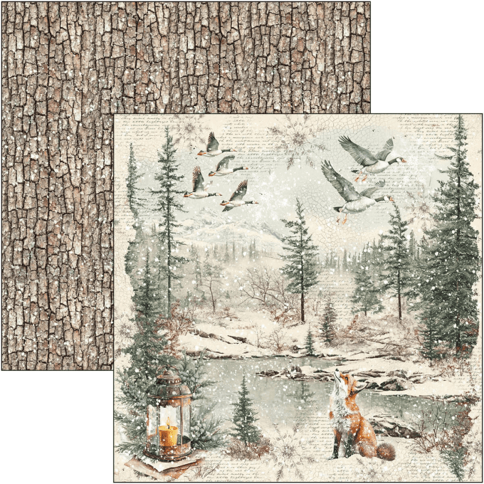 Ciao Bella, collection Forest Tales - Patterns - 30x30cm - 8 feuilles - 190gsm 