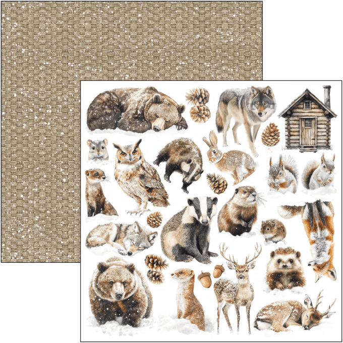 Ciao Bella, collection Forest Tales - Patterns - 30x30cm - 8 feuilles - 190gsm 